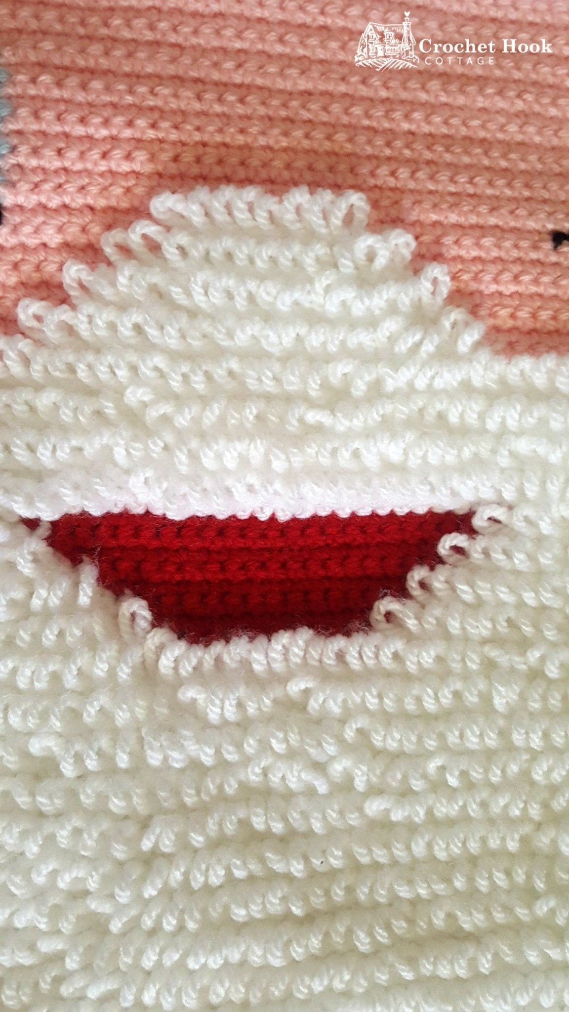 Winking Santa Claus Rug - www.crochethookcottage.com